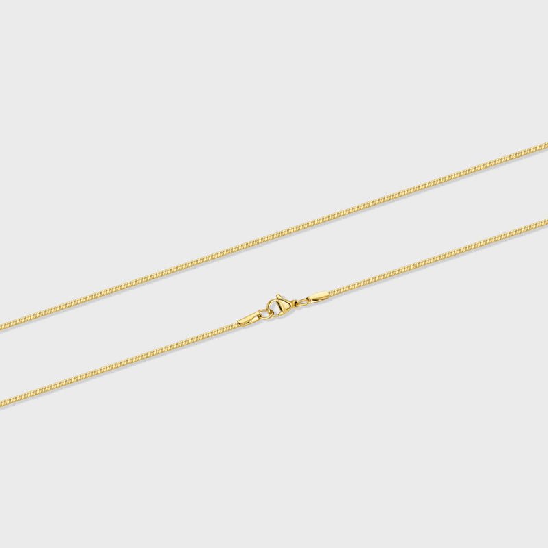 Flat Snake Chain (Gold) - 2mm